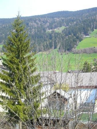 Haus Milli Apartment San Candido Bagian luar foto